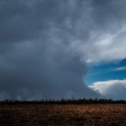 Photo #6099466