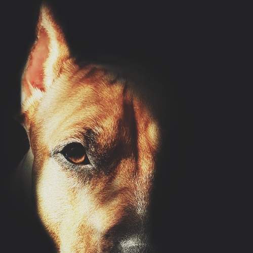 Photo #6099727
