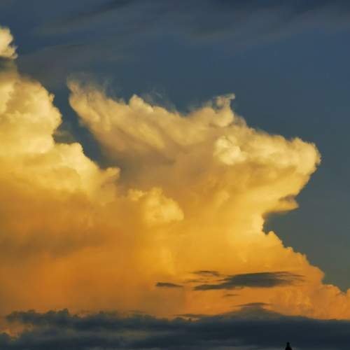 Photo #6099868