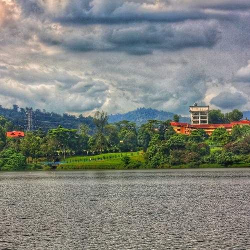 Photo #6099926