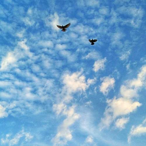 Photo #6099929