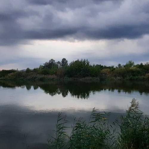 Photo #6100016