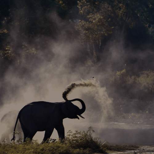 Photo #6100355