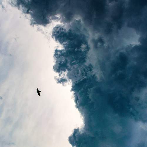 An incoming storm and a flying pariah.