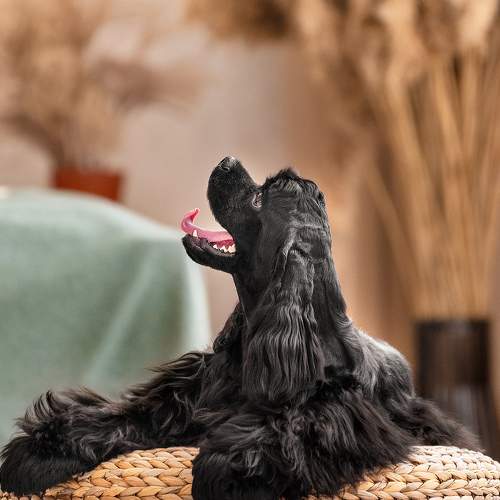 Photo #6100479