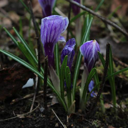 Photo #6100487