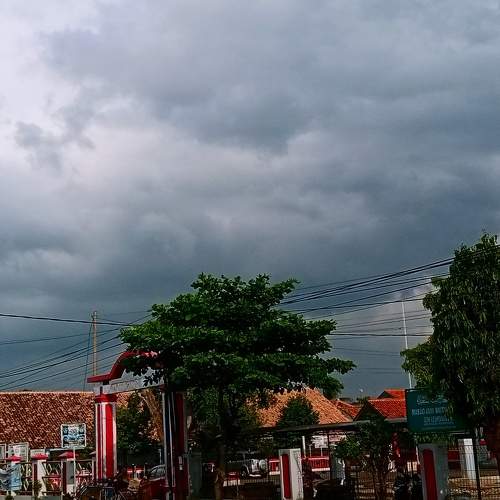 Photo #6100488