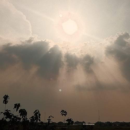 Photo #6100493