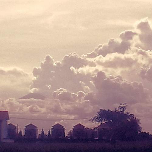 Photo #6100495