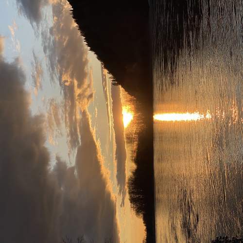 Photo #6100667