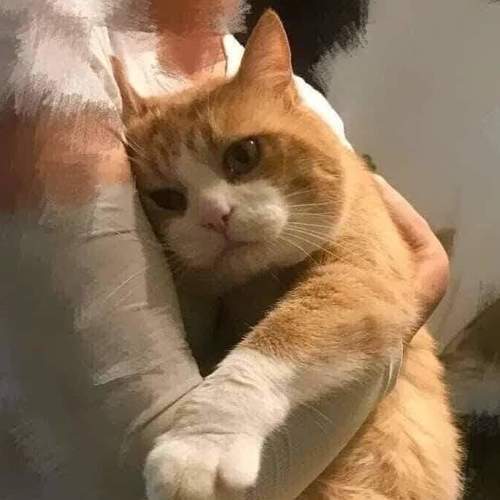 Photo #6100799