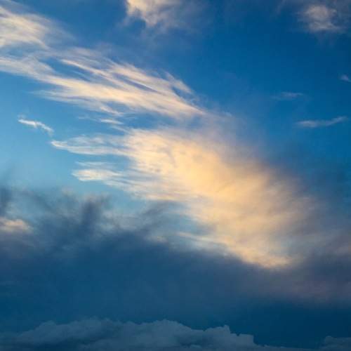 Photo #6100801