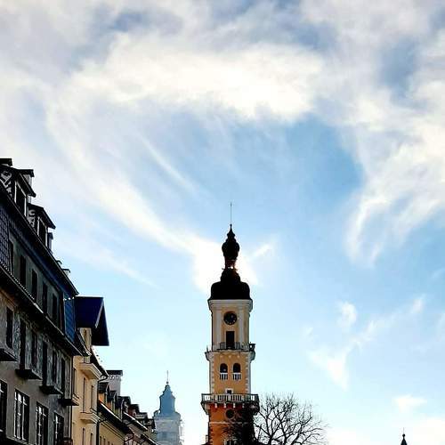 Photo #6100926