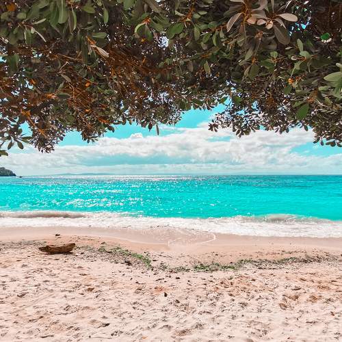 Pinkish sand