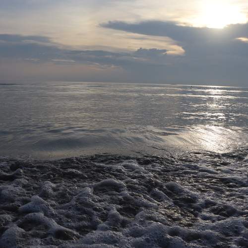 Photo #6100986