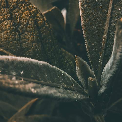 Photo #6101111
