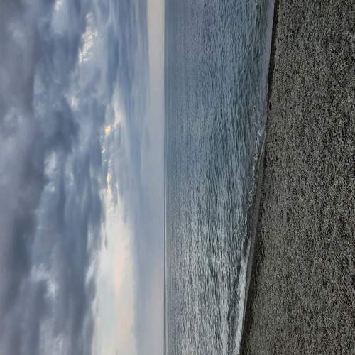 Photo #6101195