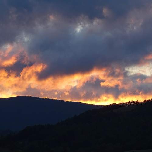 Photo #6101199
