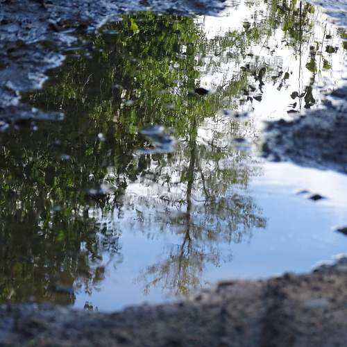 Photo #6101200
