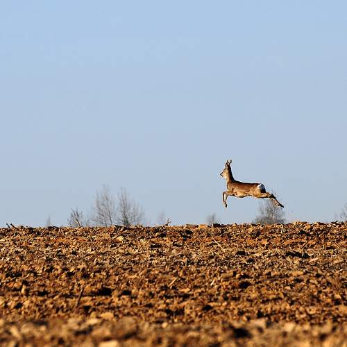 Photo #6101327