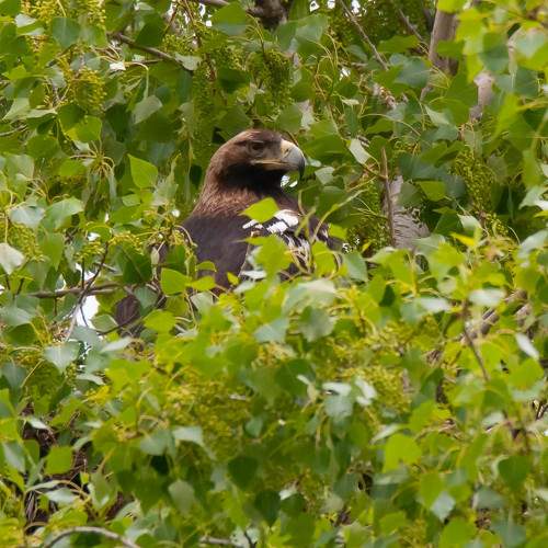 Photo #6101362