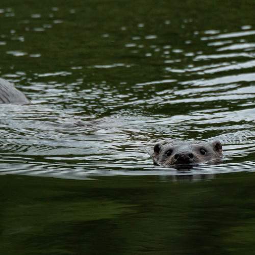 Photo #6101363