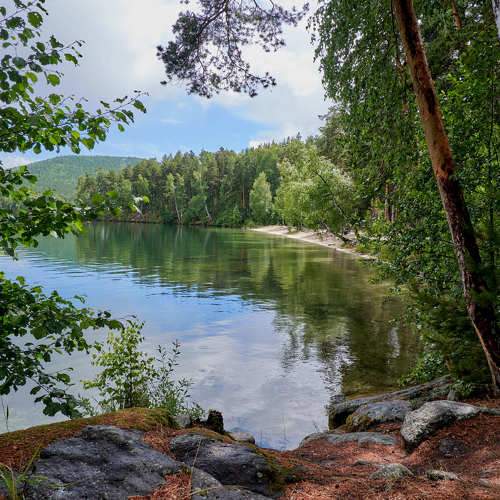 Photo #6101490