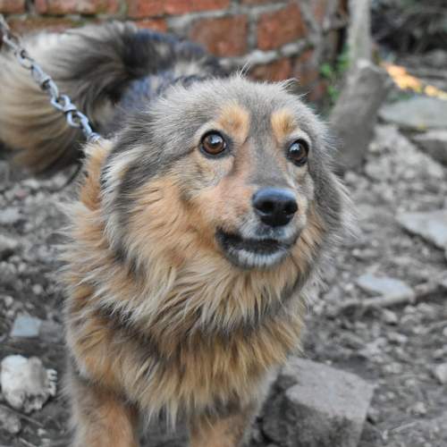 Photo #6101588