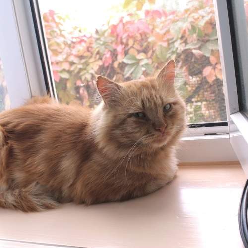 Photo #6101608