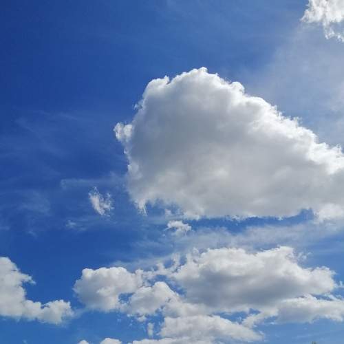 Photo #6101898