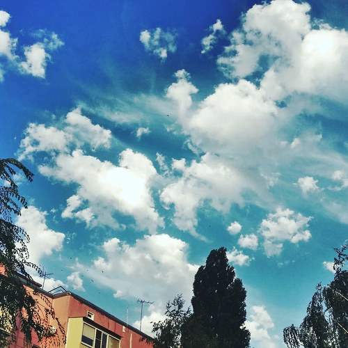 Photo #6102085
