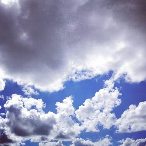 Photo #6102089