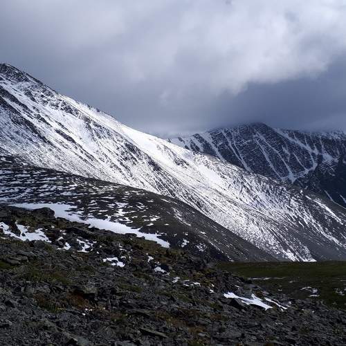Photo #6102357