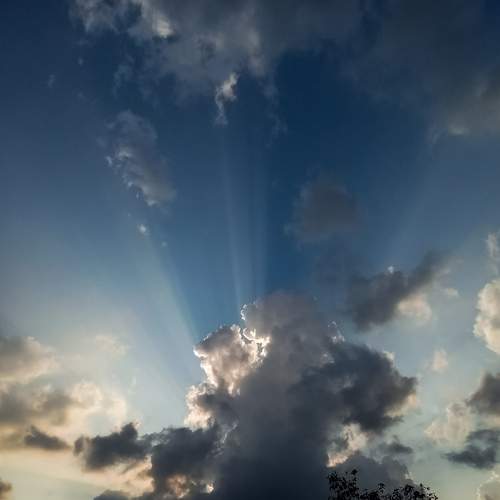 Photo #6102386