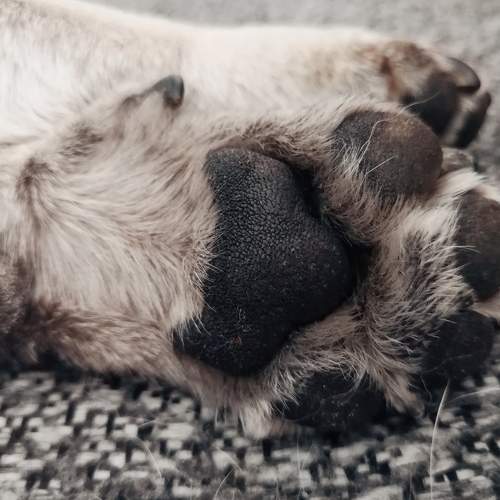 Photo #6102426