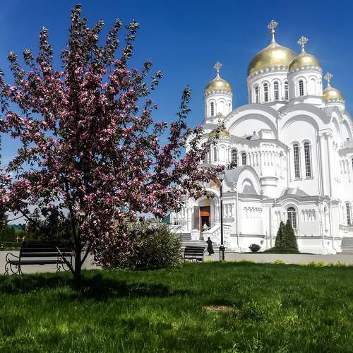 Photo #6102507