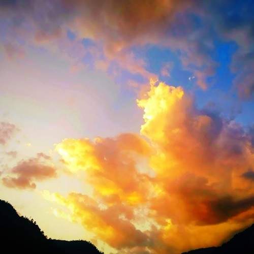 Photo #6102709