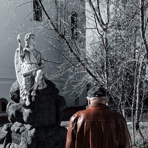 Photo #6102815