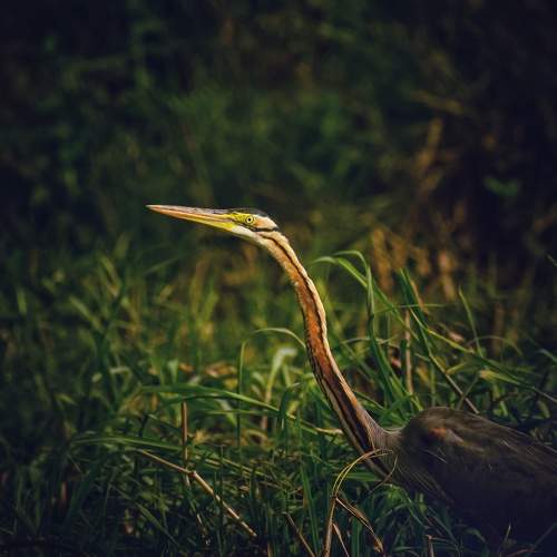 Photo #6102879