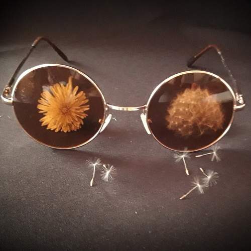 Photo #6102942