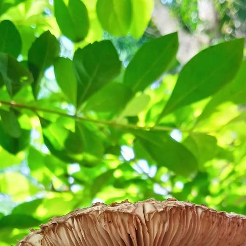 Photo #6103227