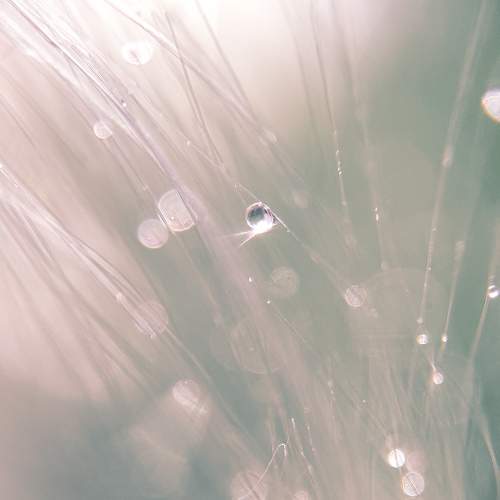Photo #6103367