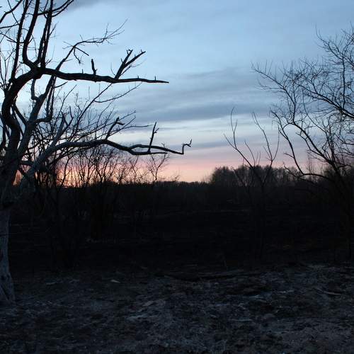 Photo #6103441