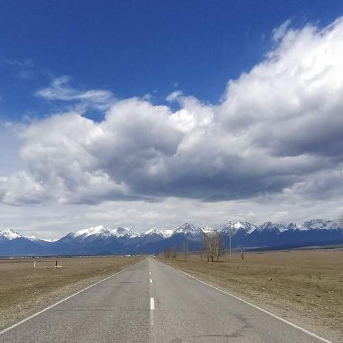 Photo #6103488