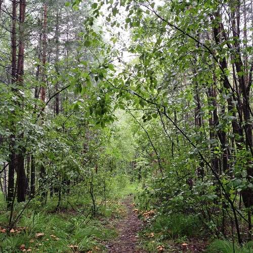 Photo #6103518