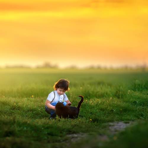 Photo #6103943