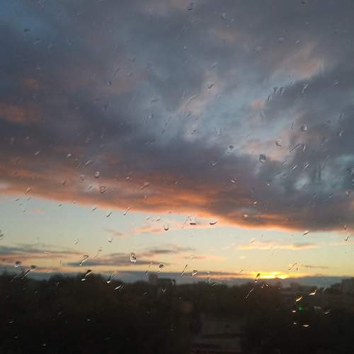 Photo #6104248