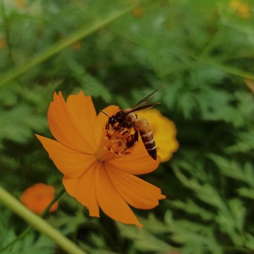 Photo #6104311