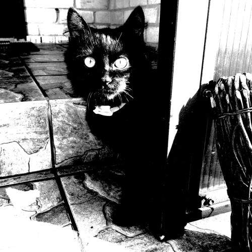 Photo #6104668