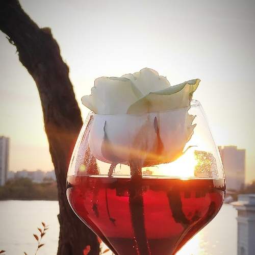Photo #6104833